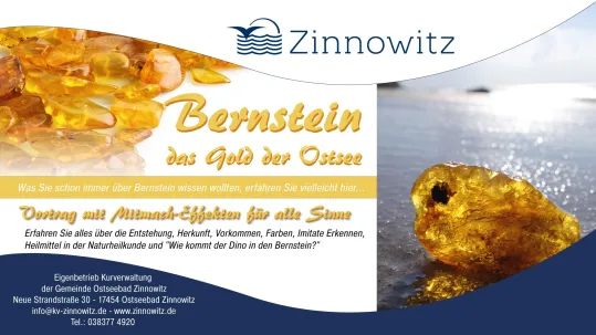 Vortrag: "Bernstein – das Gold der Ostsee"