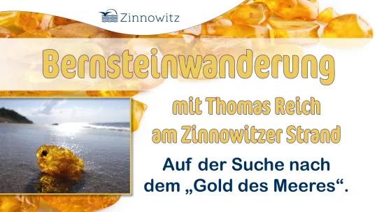 TU DIR GUT: Vortrag: "Bernstein – das Gold der Ostsee"