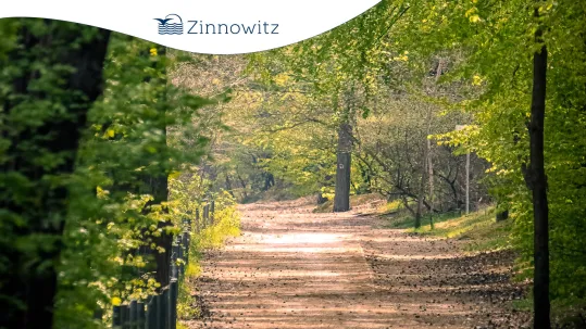 TU DIR GUT: Sport aktiv - Wald ABC