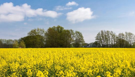 Enderweit vermittelt vielfältige Unterkünfte in Zinnowitz – perfekt für euren entspannten Ostseeurlaub