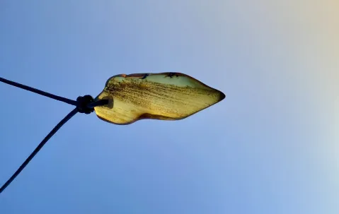 Bernsteinschleifen – entspannt einen Anhänger bearbeiten