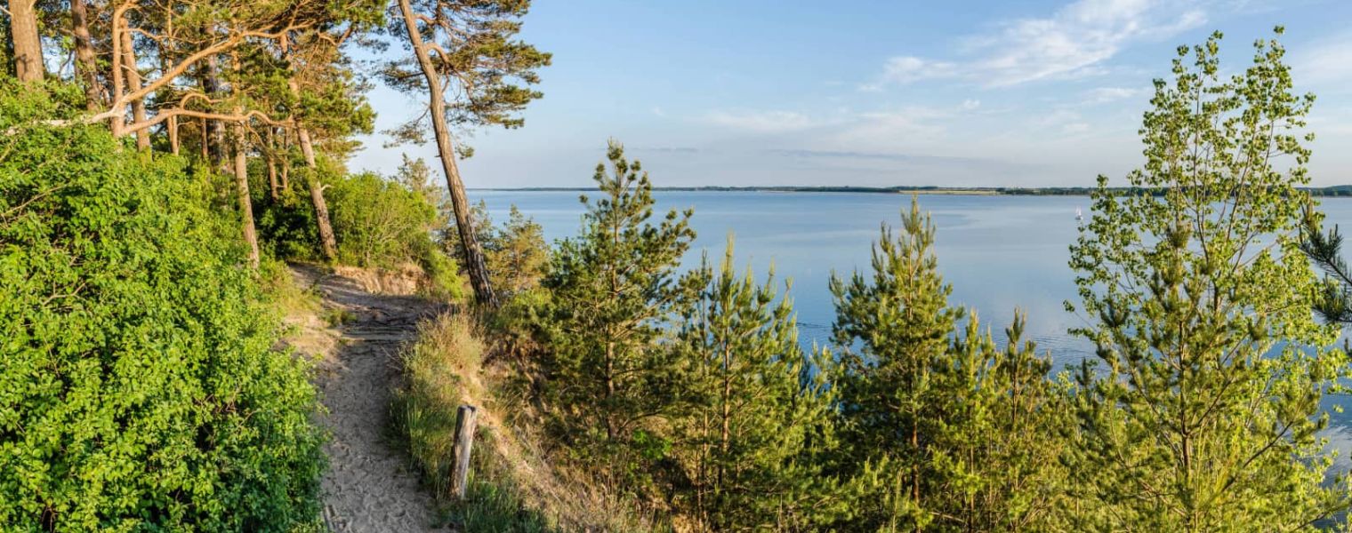 Weite grüne Natur im Naturpark Zinnowitz mit traumhaftem Ostseeblick – Ruhe und Erholung bei der Kurverwaltung Zinnowitz