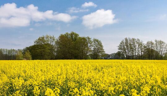 Enderweit Usedom